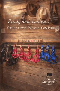 Colorful dog harnesses hanging in a wooden display at CozyTyme.
